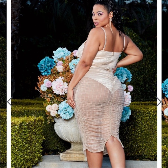 Plus size dress-NWOT - Picture 2 of 2